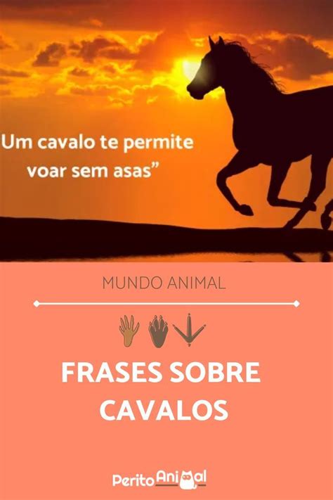 Frase Com A Palavra Cavalo - As melhores FRASES sobre CAVALOS - Mais de 60 ideias para te inspirar ...