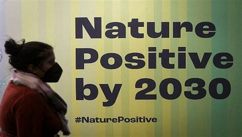 Explained Cop15s Nature Pact Goal To Protect 30 Of Earth