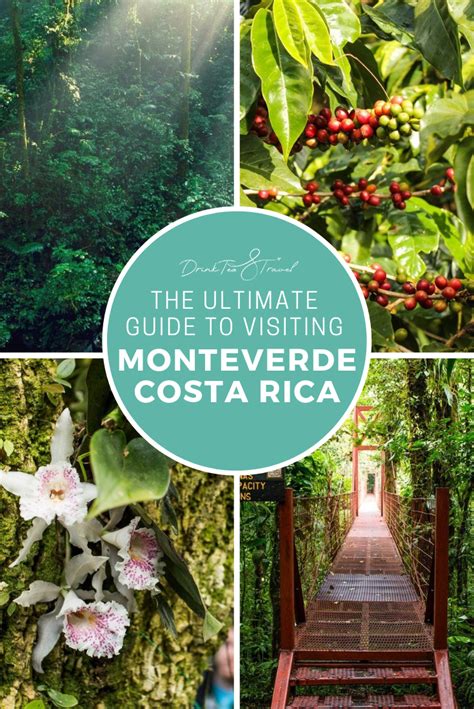 The Ultimate Guide To Visiting Monteverde Costa Rica Artofit