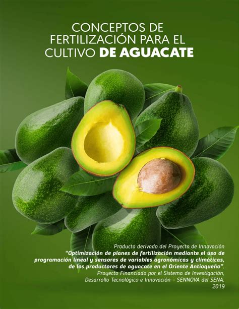 Conceptos Fertilizacion Aguacate