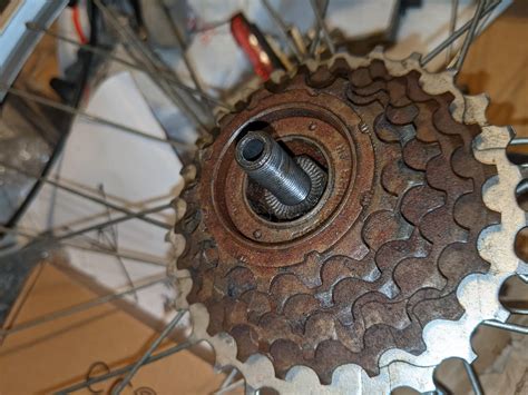 Removing A Cassette Not Sure How To Proceed What Tool Or Size Of Tool I Need R Bikewrench