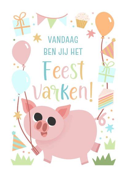 Vrolijk Verjaardagskaartje Kind Feestvarkentje Kaartje Go