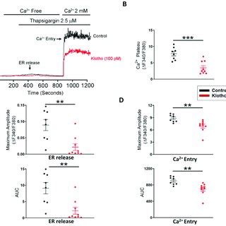 ITRP Of Human Atrial Fibroblasts In 4 Different Groups Control Klotho