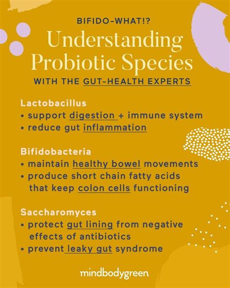 Mindbodygreen On Instagram Probiotic Strains Can Be Confusing And