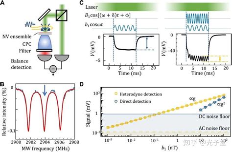 灵敏度提升近十万倍！中国科大实现皮特斯拉级nv色心量子传感器 知乎