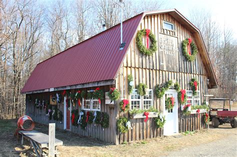 Christmas Tree Farms Near Washington Nj At Tawnya Taylor Blog