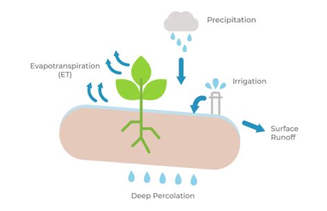 Understanding Evapotranspiration Et