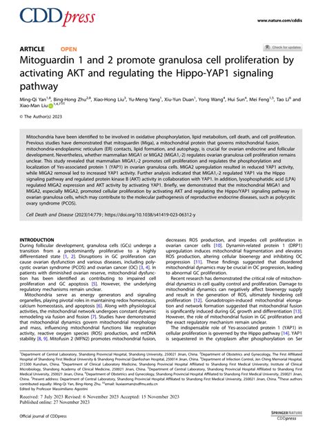 Pdf Mitoguardin And Promote Granulosa Cell Proliferation By