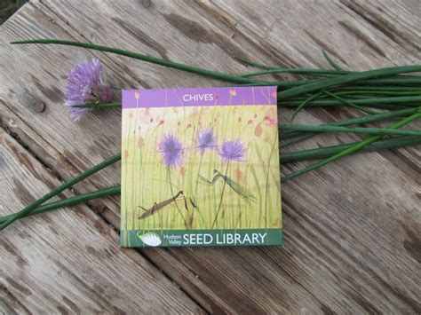 Hudson Valley Seed Art Packs | Expertly Chosen Gifts