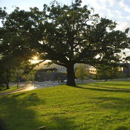 Cornell University - Profile, Rankings and Data | US News Best Colleges