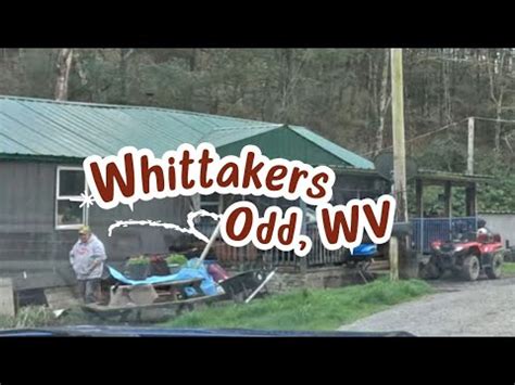 The Famous Whittakers Of Odd West Virginia YouTube