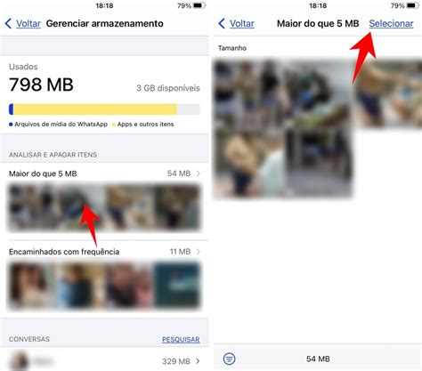 Como Apagar Arquivos Do Whatsapp No Iphone - Como gerenciar o armazenamento de dados do WhatsApp no iPhone (iOS)