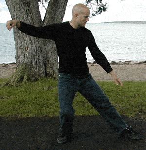 Standing Chi Kung Long White Cloud Qigong