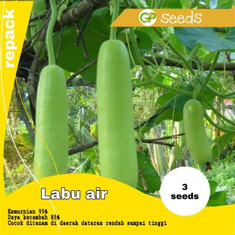 Jual Benih Labu Air Ruma F1 Bibit Labu Air Benih Labu Air Panah