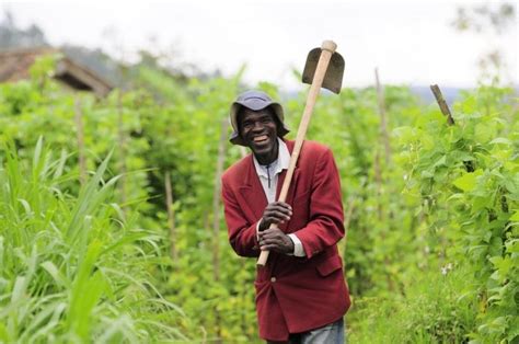 Helping Farmers Access Quality Farm Inputs In East Africa