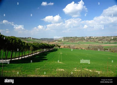 Greenfield Under A Blue Sky Stock Photo Alamy