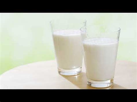 Молочный гриб – как ухаживать и употреблять?