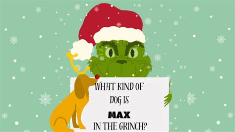 What Kind of Dog is Max from the Grinch?