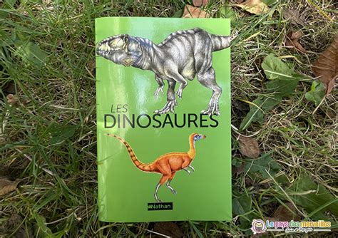 Mon Coffret Montessori Dinosaures Avec Un Squelette En Bois à Assembler