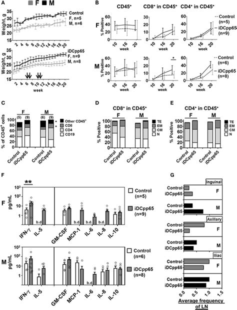 Frontiers Multidimensional Analysis Integrating Human T Cell