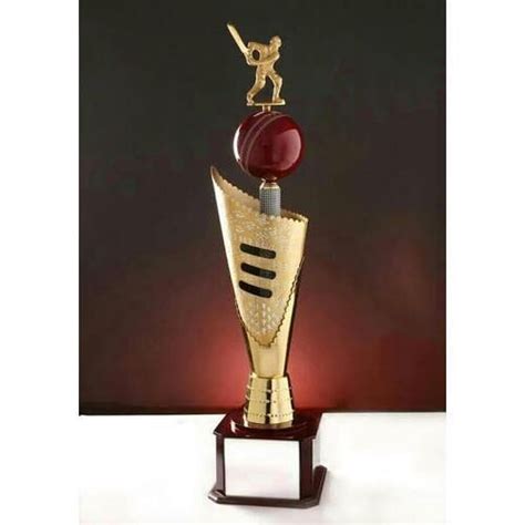 Brass Cricket Trophy At Rs 1 800 Piece In Moradabad ID 6765389