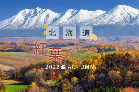 北海道のおすすめ紅葉スポット17選！ 時期と見頃も紹介｜prezoプレゾ 北海道の豊かな恵みを産地直送