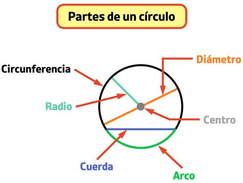 Partes De Un Círculo