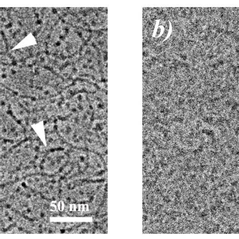 Cryo Tem Micrographs For Aqueous Solutions Containing Mm C Tab And