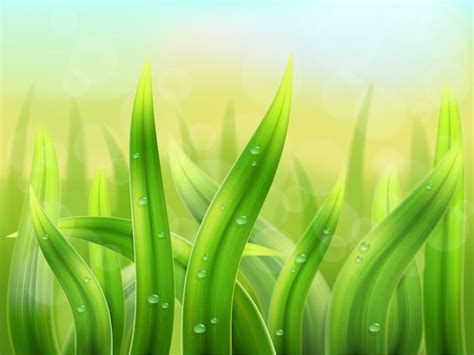 Premium Vector | Vector grass background