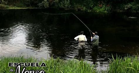 Escuela De Pesca A Mosca Cursos Pesca A Mosca Seca Cola De Rata