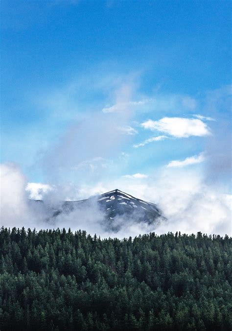 Free Images Tree Nature Forest Grass Horizon Snow Cloud Sky