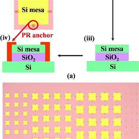 A The Schematic Diagram Showing The Glass Frit Bonding Substrate Download Scientific Diagram