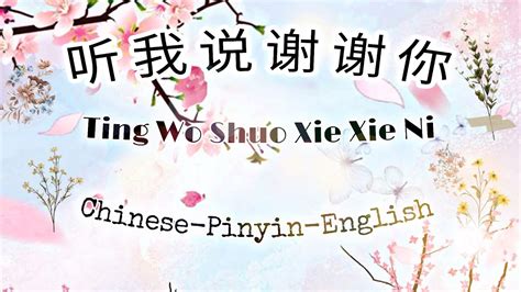 Ting Wo Shuo Xie Xie Ni Listen To Say Thank You Lyrics