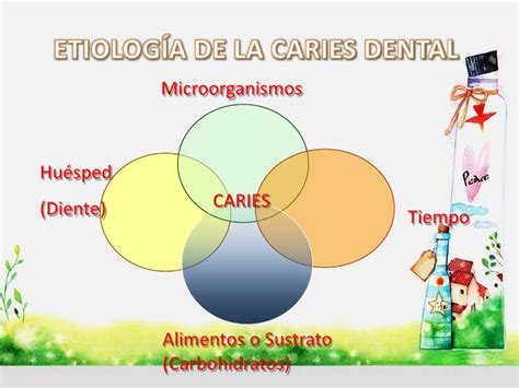 caries en la odontología Mecanismos de la caries dental