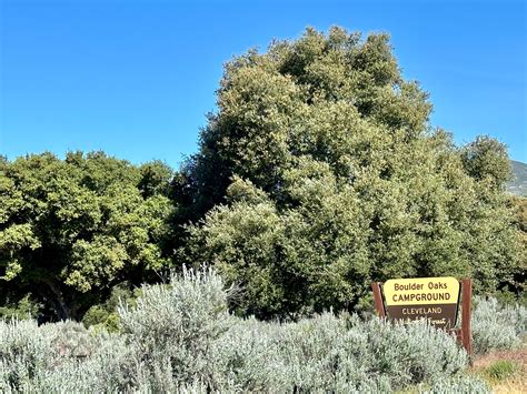 Boulder Oaks Eqst Camping Alpine Ca