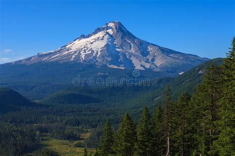 Beautiful Vista Of Mount Hood In Oregon Usa Stock Photo Image Of