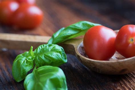 Wie Gesund Sind Tomaten Archive