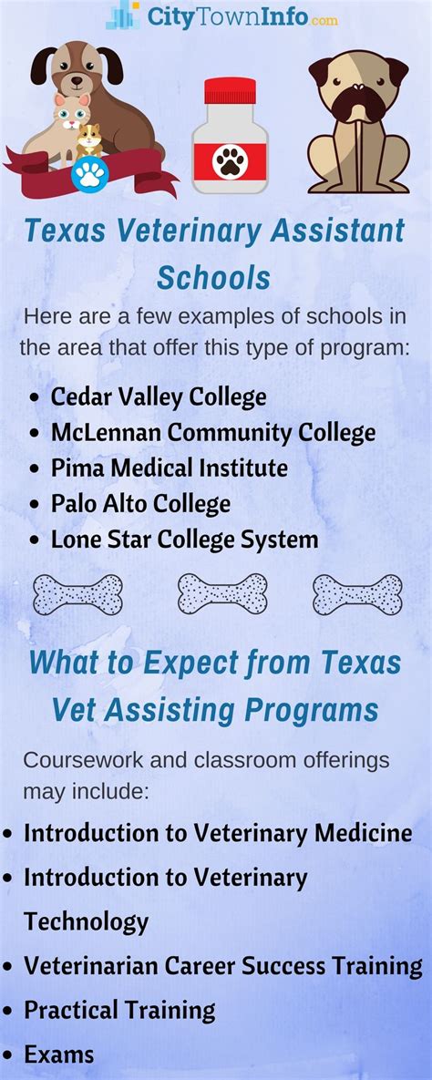 How To Become Vet Assistant Tower Good News