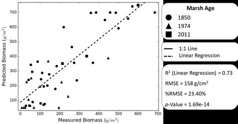 Comparison Between Measured Above Ground Biomass Gm 2 And Values