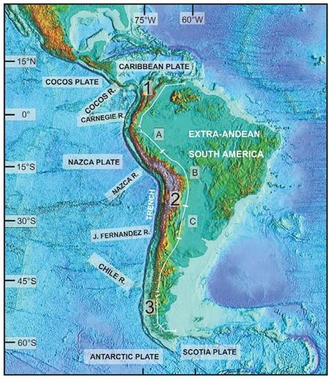 Main Neotectonic Settings And Geotectonic Features Of Continental South