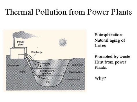 Thermal Pollution From Power Plants