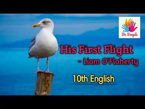 HIS FIRST FLIGHT BY LIAM O FLAHERTY YouTube