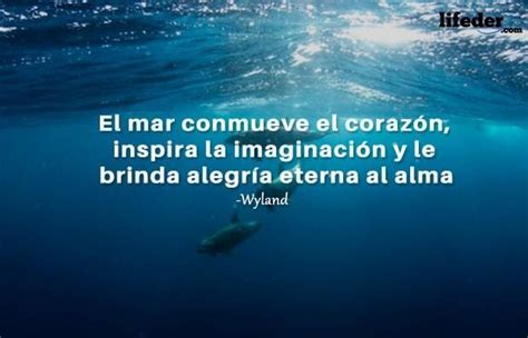 Las Mejores Frases Sobre El Mar Lifeder Frases De La Playa