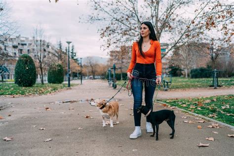 Young Woman Walking Her Dogs On Leash In Park Stock Photo Image Of