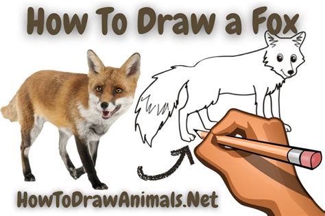 How To Draw A Fox Fun And Easy Drawing Tutorial