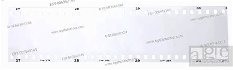 Black And White Negative Strip On White Background Stock Photo