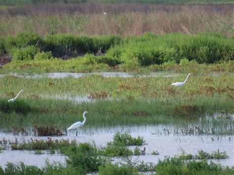 Kansas Wetlands Education Center