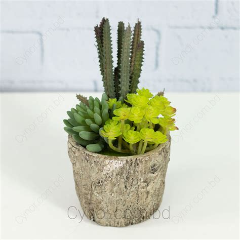 Ultra Realistic Heavyweight Pot With Succulent And Cactus Arrangement