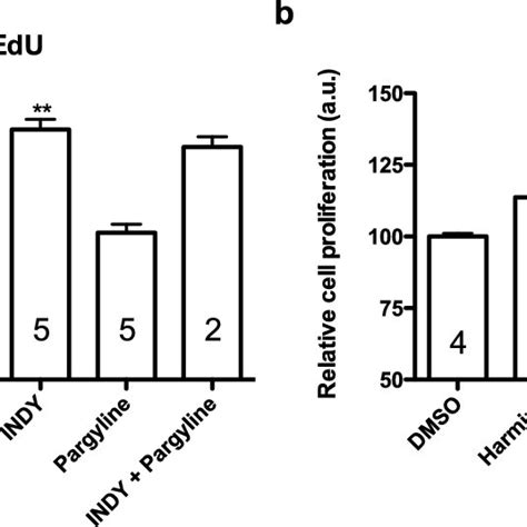 Characterization Of Neural Progenitor Cells Derived From Human