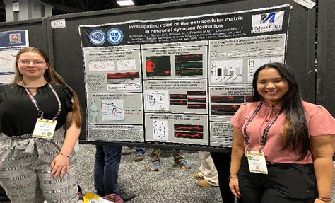 NSF Award Search Award 1754986 RUI Collaborative Research